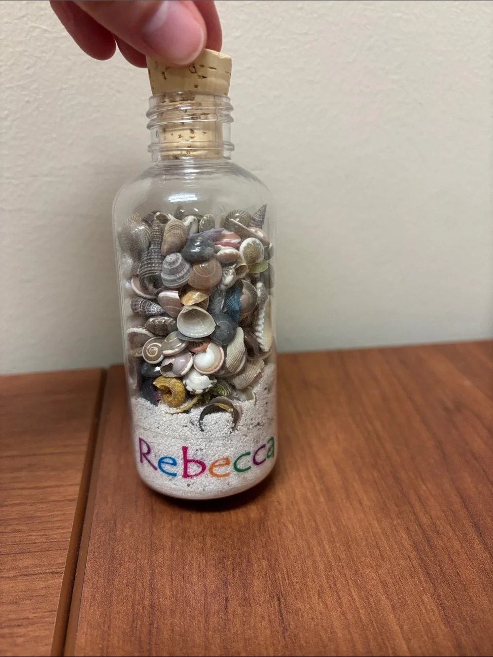 Aruba ❤️ sand and shell keepsake